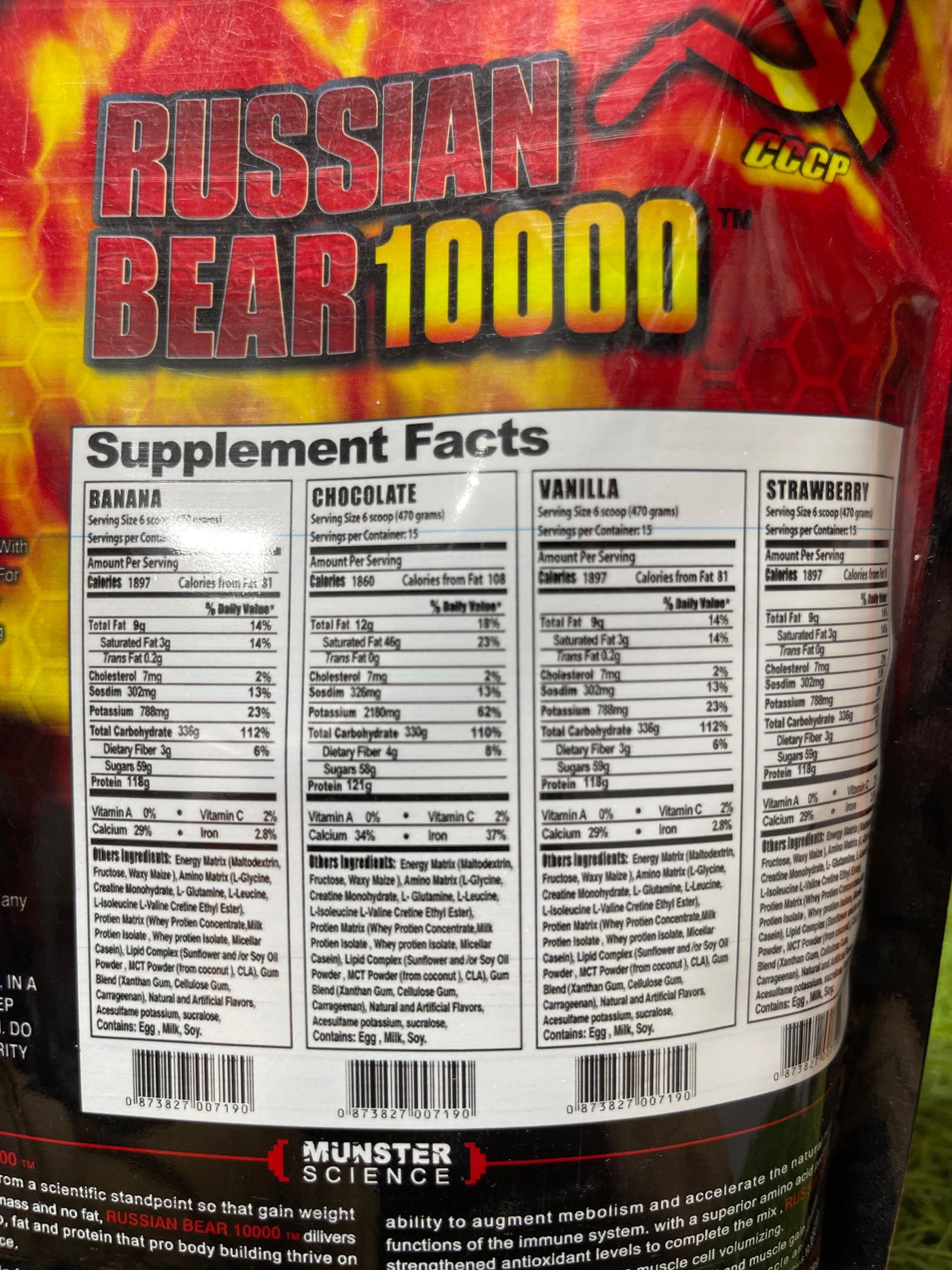 🐻 Russian Bear 10000 – 2lb 🍫 | Hardcore Weight Gainer with 100g+ Protein 💥