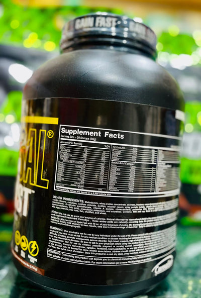 🏋️‍♂️ Universal Gain Fast 6lbs – Performance Weight Gainer 🍫